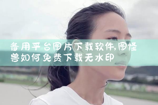 备用平台图片下载软件