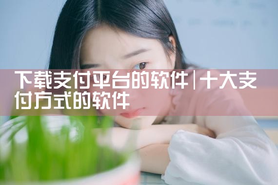下载支付平台的软件