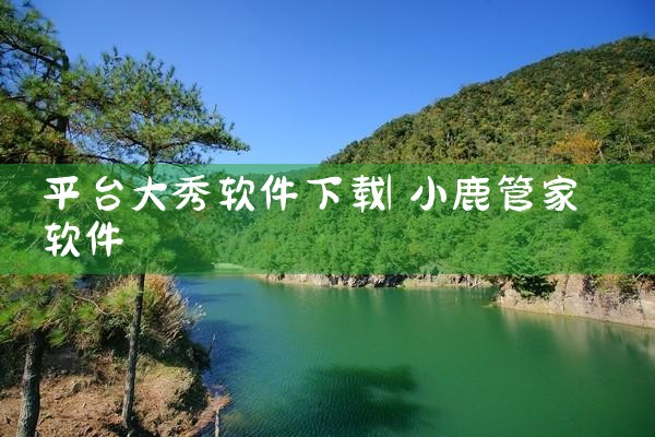 平台大秀软件下载