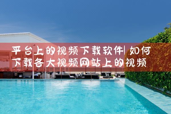 平台上的视频下载软件