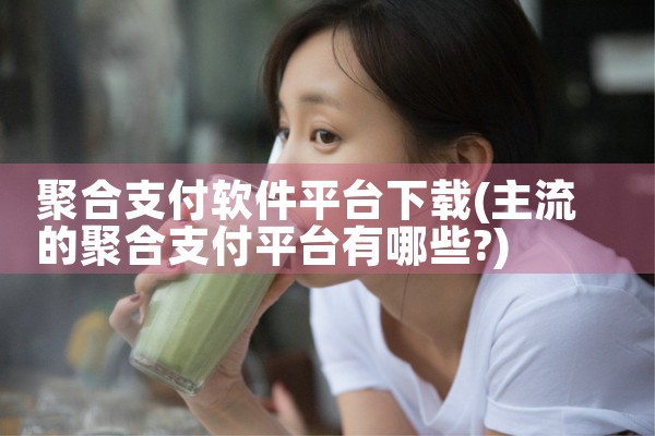 聚合支付软件平台下载