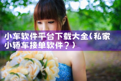 小车软件平台下载大全
