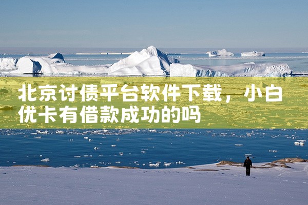 北京讨债平台软件下载