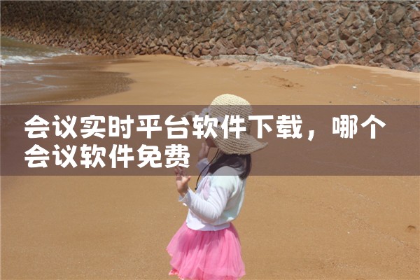 会议实时平台软件下载