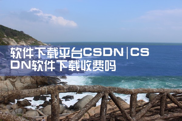 软件下载平台CSDN