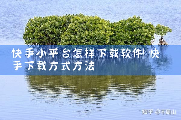 快手小平台怎样下载软件